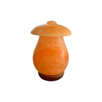 Lampa solna nocna Himalaya 2-3 kg sól himalajska Grzyb