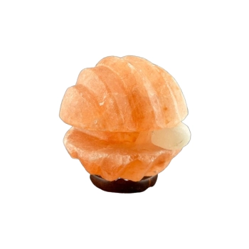 Lampka nocna sól himalajska Perła w muszli 2-3 kg na prezent